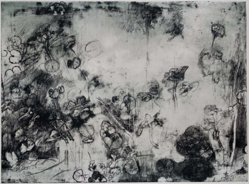 Ofer Lellouche  Geraniums, 1995 Etching on paper  110 x 150 cm (43.31 x 59.06 in)  Edition of 19 Courtesy of The Artist  Signed 